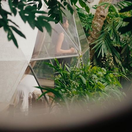 Lintang Luku Tent Resort Ijen, Banyuwangi 바뉴왕기 외부 사진