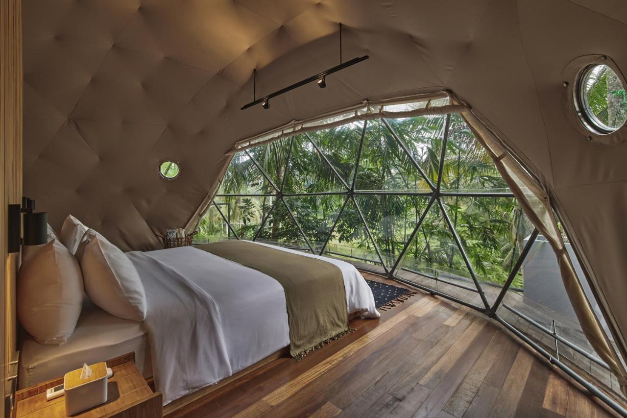 Lintang Luku Tent Resort Ijen, Banyuwangi 바뉴왕기 외부 사진
