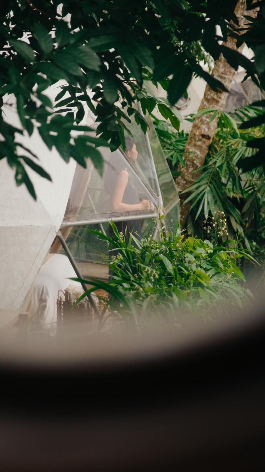 Lintang Luku Tent Resort Ijen, Banyuwangi 바뉴왕기 외부 사진