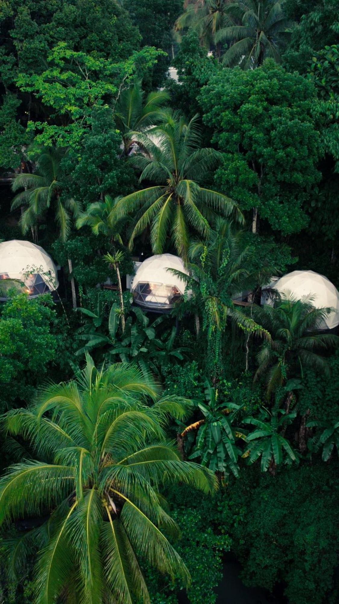 Lintang Luku Tent Resort Ijen, Banyuwangi 바뉴왕기 외부 사진