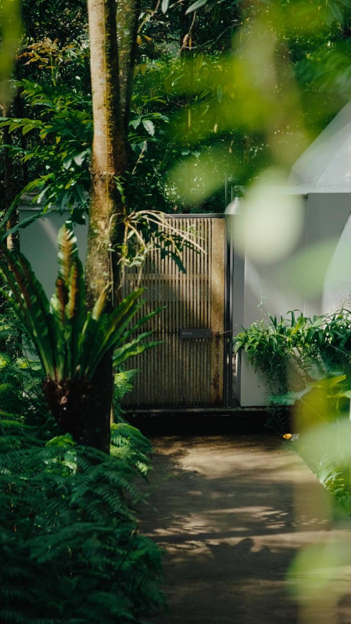 Lintang Luku Tent Resort Ijen, Banyuwangi 바뉴왕기 외부 사진